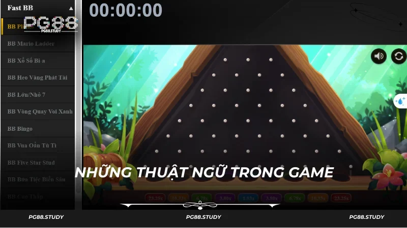 Các thuật ngữ có tác dụng trong quá trình chơi xổ số